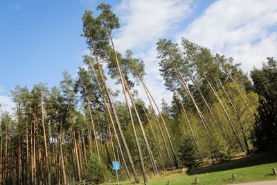 Metelių regioninis parkas