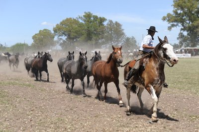 Buenos airių provincija, Argentina 