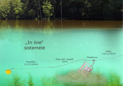 "In line" sistemėlės schema