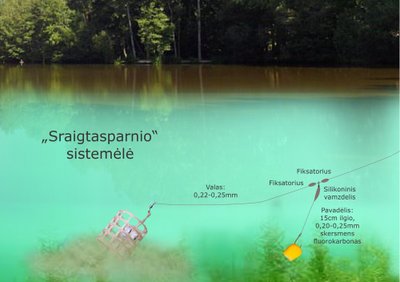 "Sraigtasparnio" sistemėlės schema