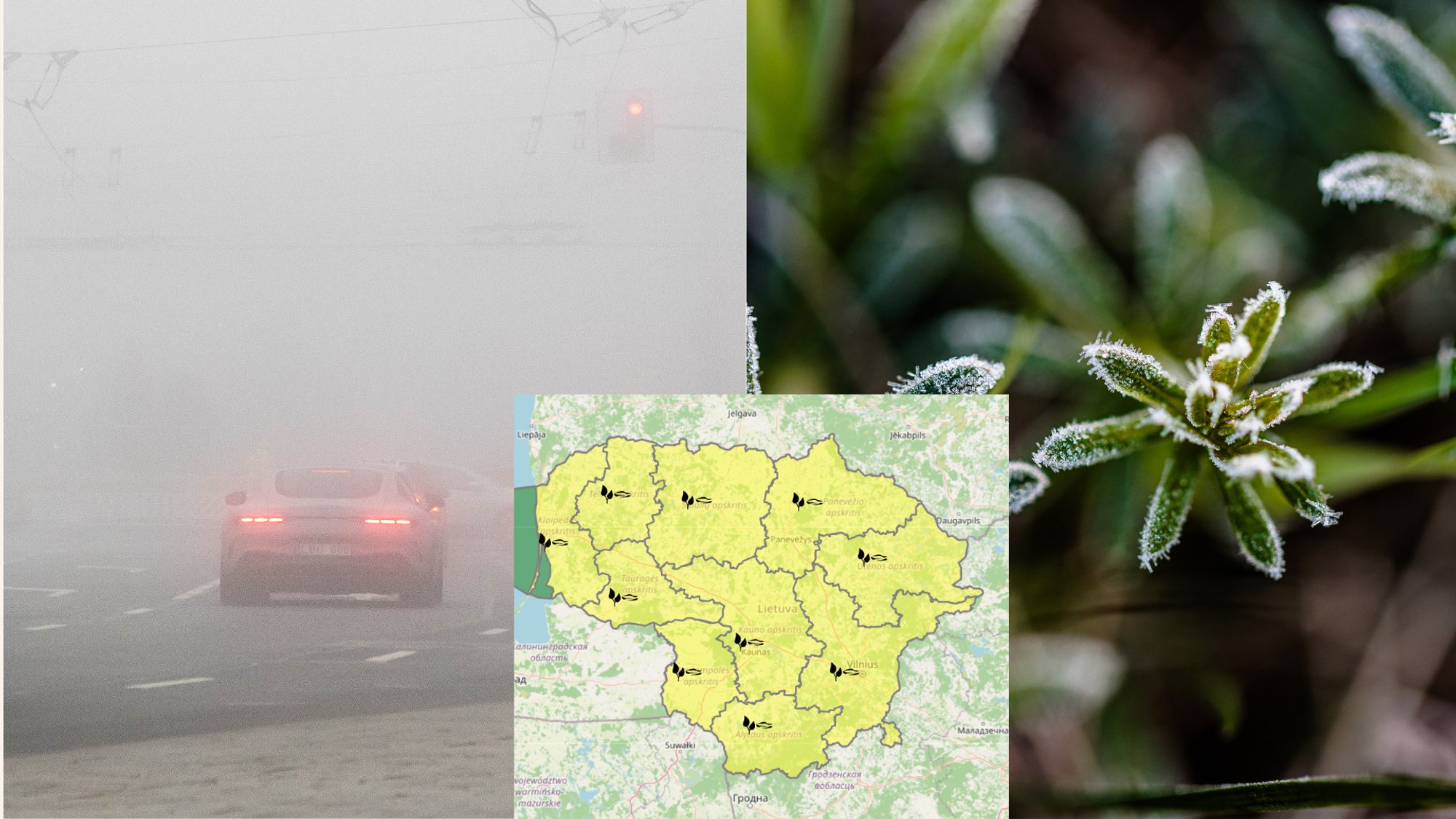 Naktį visoje Lietuvoje – meteorologų įspėjimai dėl pavojingų reiškinių: tęsis ir ryto valandomis Lietuvos hidrometeorologijos tarnyba (LHMT) skelbia, kad visose šalies apskrityse šiąnakt formuosis pavojingi meteorologiniai reiškiniai – šalna ir rūkas.