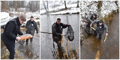 Upėtakiai paleidžiami į upę