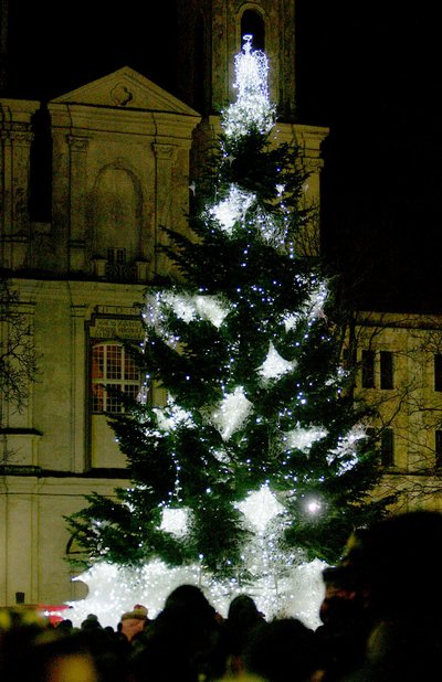 Kaune įžiebta Kalėdų eglė (2009 m.)