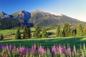 Lenkija, Slovakija, Vokietija: šešios idėjos, kaip nebrangiai keliauti po kalnus, į kuriuos nesunku įkopti