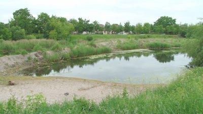 Nevėžis - vienas iš vandens telkinių, kuriame žuvys gali būti sukaupę per daug teršalų