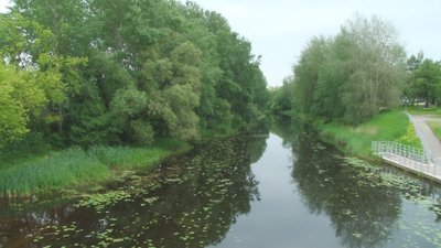 Nevėžyje per karščius nugaišo labai daug žuvų