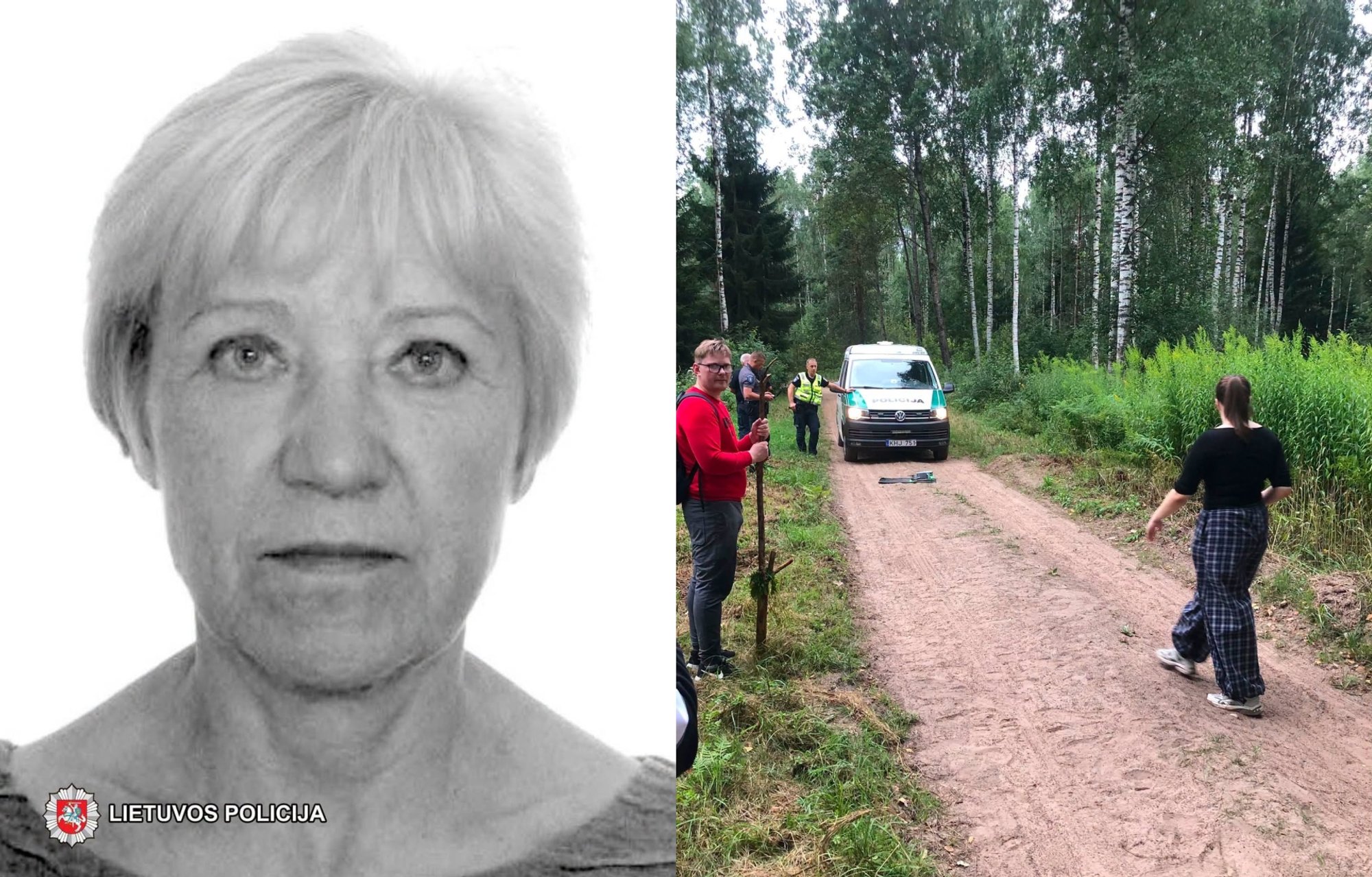 Woman Missing While Berry Picking in Lithuania; Extensive Search Underway