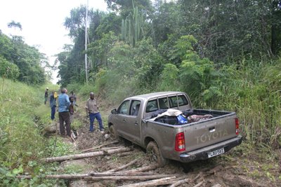 Akimirkos iš Papua Naujosios Gvinėjos/ D. Bastytės nuotr.