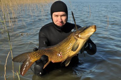 Žvejai povandeninkai norėtų daugiau prisidėti prie invazinių vėžių naikinimo