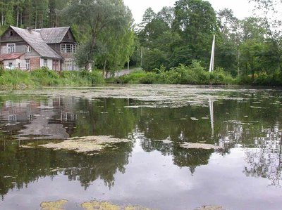 Užpelkėję ežerai