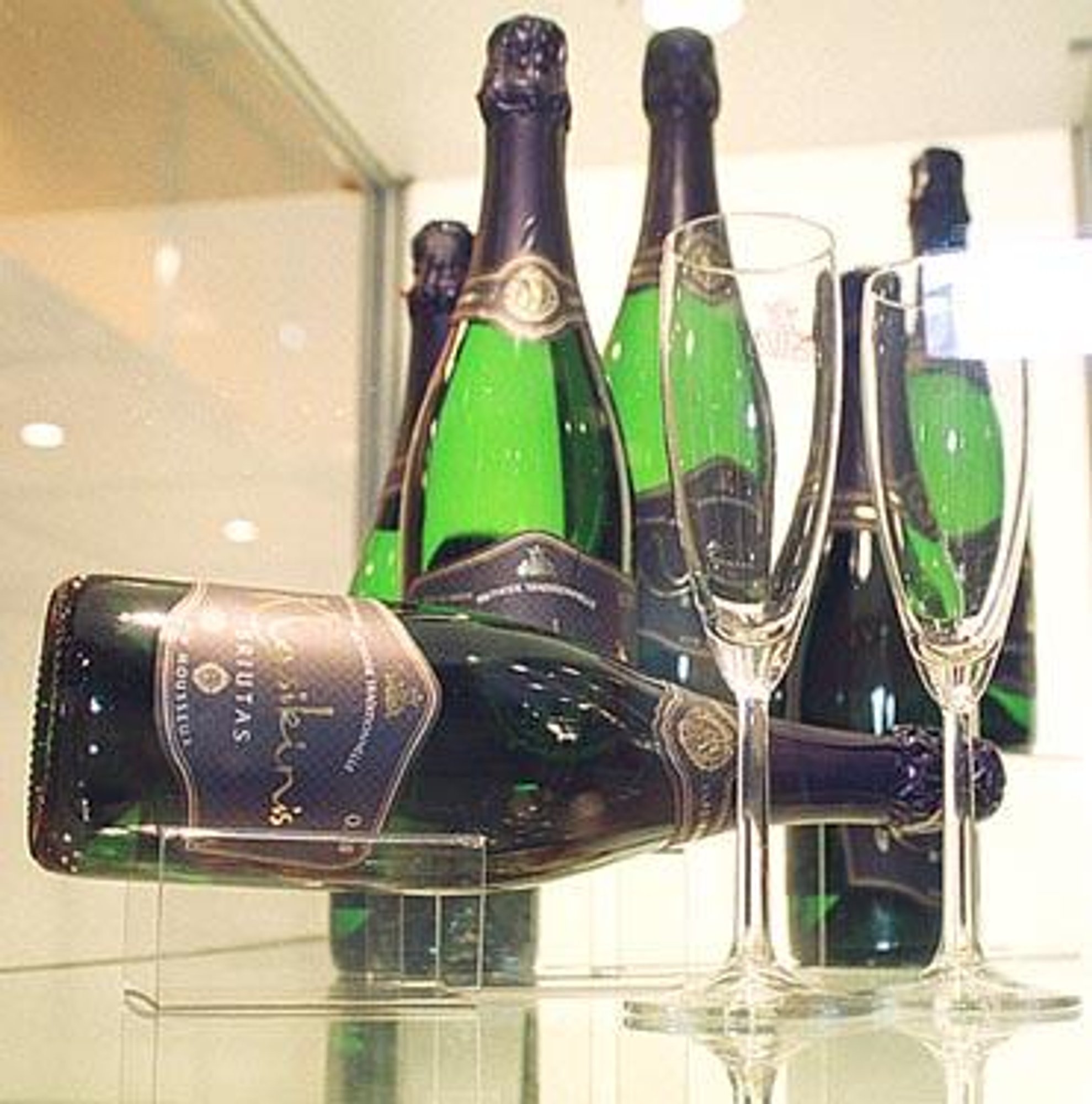 Polski producent wina celuje w Alitę