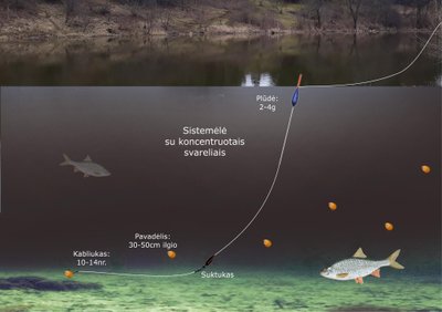 Vietinių sūduvių mėgstama kuojų žvejybos plūdinė sistemė 