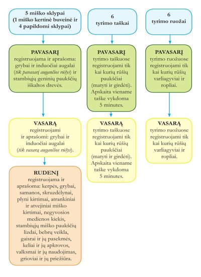 Stebėjimų grafikas