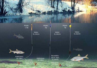 Schema: sistemėlės žvejybai meškere be ritės pavasarį