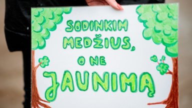 Aistras sukėlęs sprendimas panaikintas: jaunasis verslininkas į kalėjimą nesės