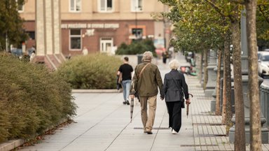 Įvardijo septynis kritinius veiksnius Lietuvai: jų nesiėmus gali ištikti Estijos likimas