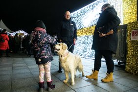 Jei naujametine vakariene susirūpinote tik dabar: rinktis yra iš ko, bet pigu nebus