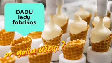 Ar galiu užeiti? Ledų karalystėje: profesionalūs ragautojai ir 40 laipsnių šaltis