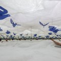 Žiniasklaida: Nyderlandų vienaragis „Bird“ Lietuvoje atvers finansinių inovacijų centrą