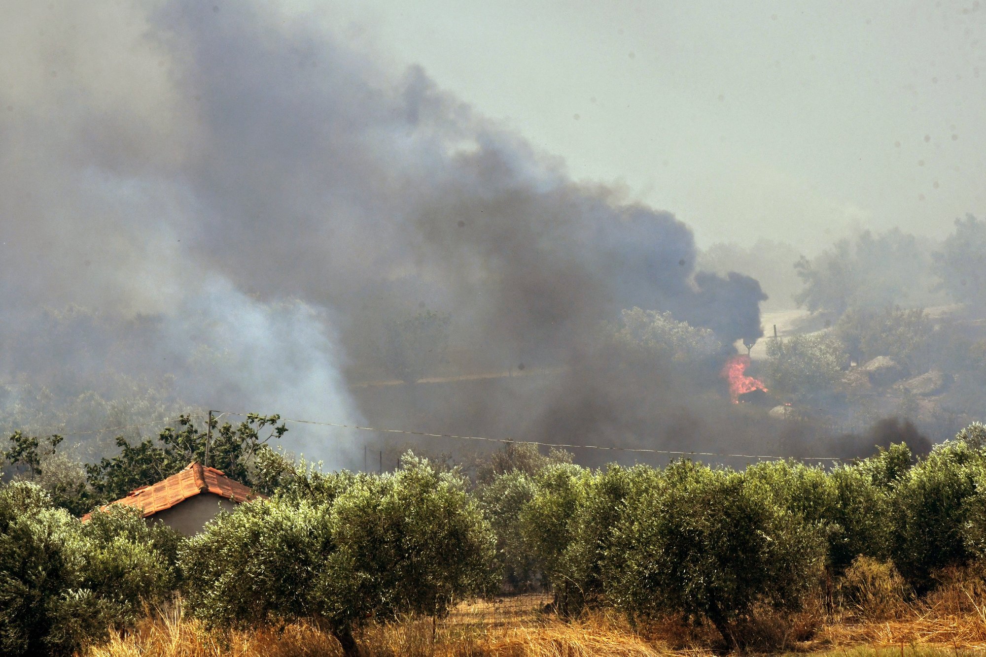 Greece battles high wildfire alert as fires rage across country