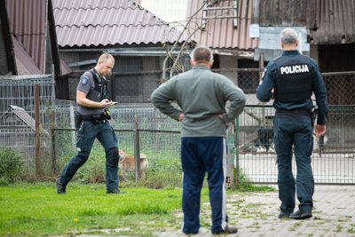 Gyvūnų daugyklos patikrinimas, asociatyvi nuotr.