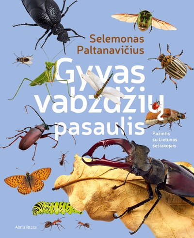 „Gyvas vabzdžių pasaulis“