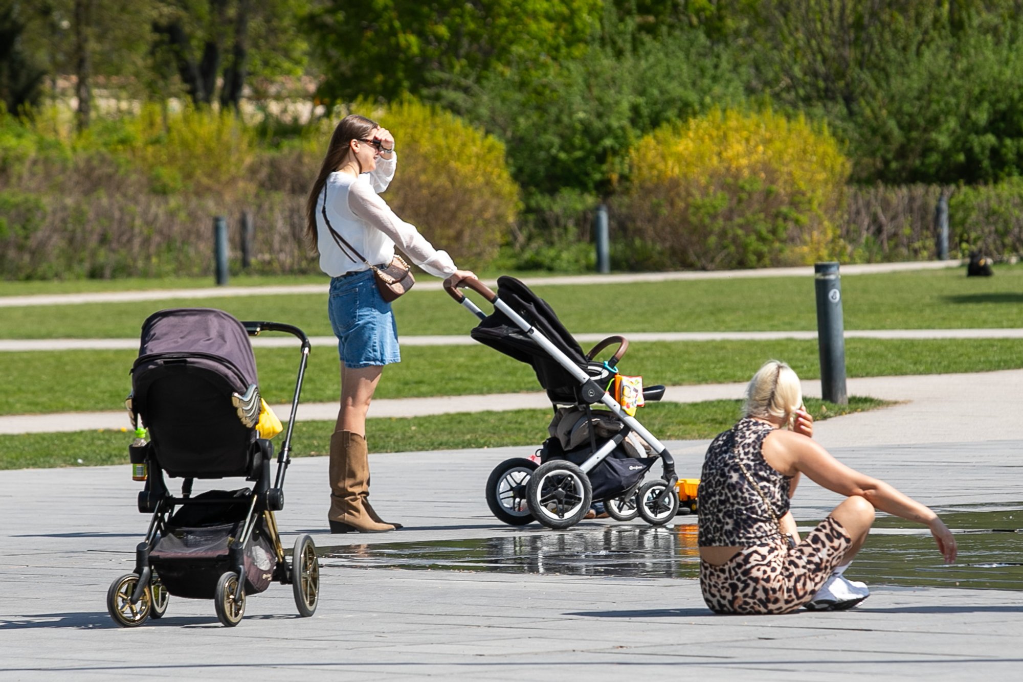 Lithuanian Conservatives Propose Solutions to Demographic Crisis