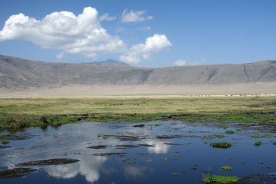 Ngorongoro krateris Tanzanijoje