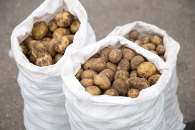 Naktiniame ūkininkų turguje jau gausu lietuviškų gėrybių