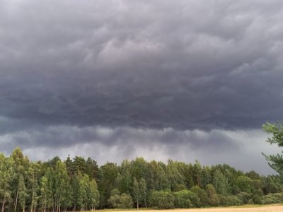 Liūtis Ukmergės rajone, Vepriuose