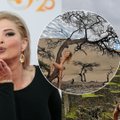 Jolanta Leonavičiūtė – apie tai, kas pakeitė jos gyvenimą ir šalį sudrebinusį erotinį skandalą: daužė iš visų pusių 