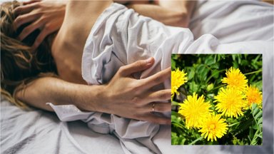 Visose Lietos pievose randamo augalo nauda: ne tik sveikatai, bet ir vyrų pajėgumui lovoje