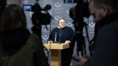 Po akibrokšto Seime pateikė naujų detalių: daugybė požymių rodo, kad buvo įvykęs suokalbis