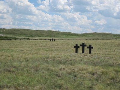 Ieškoma vietų, kur būtų galima laidoti kiaules