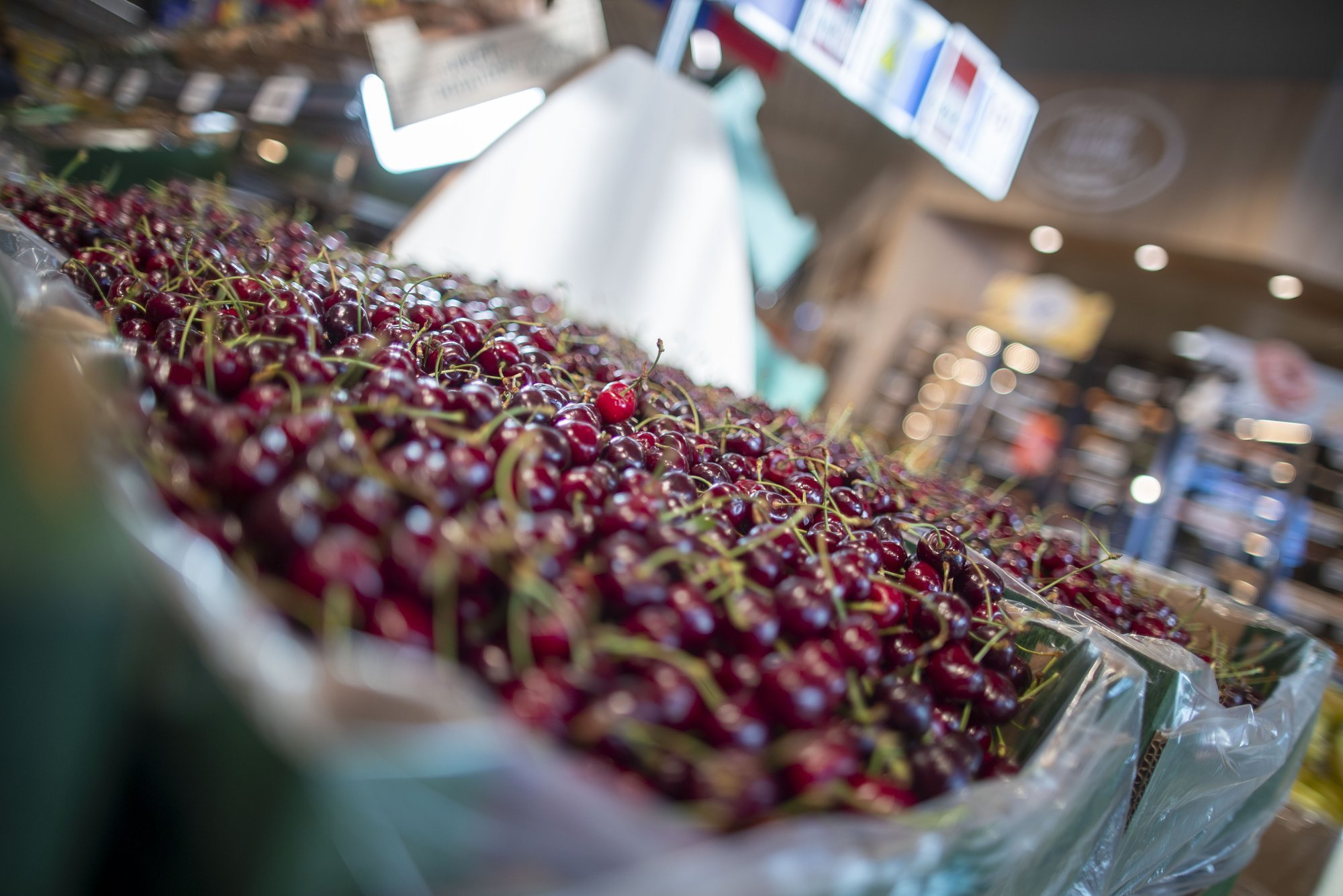 Cherry Prices Plummet in Kaunas Market
