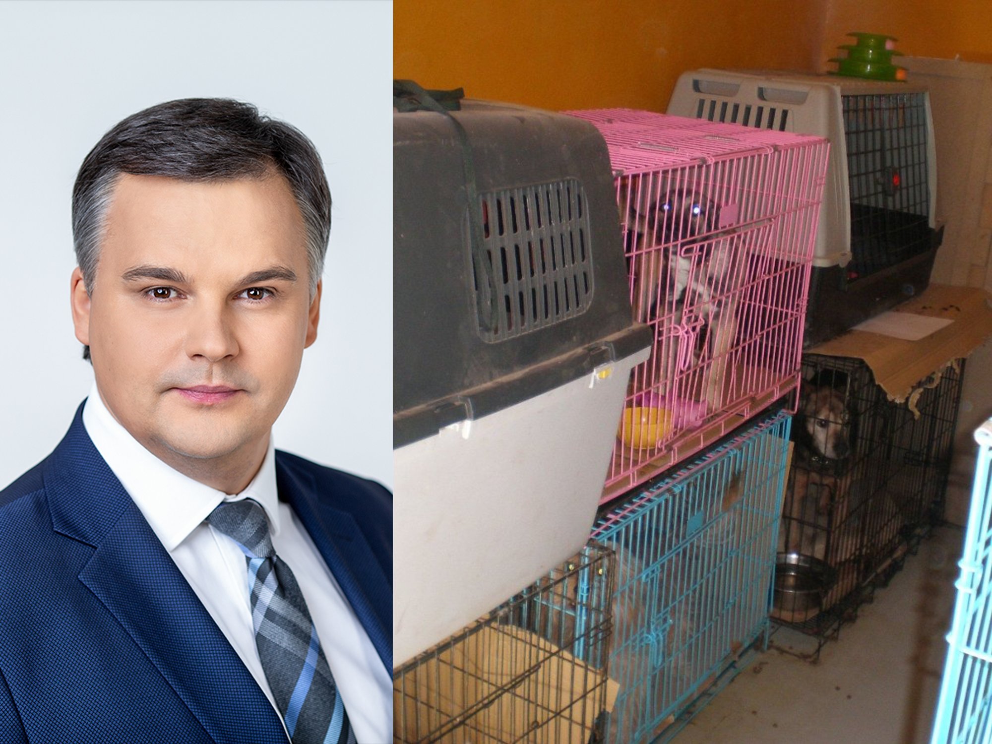 Marijus Velička: dėl Valstybinės maisto ir veterinarijos tarnybos ...