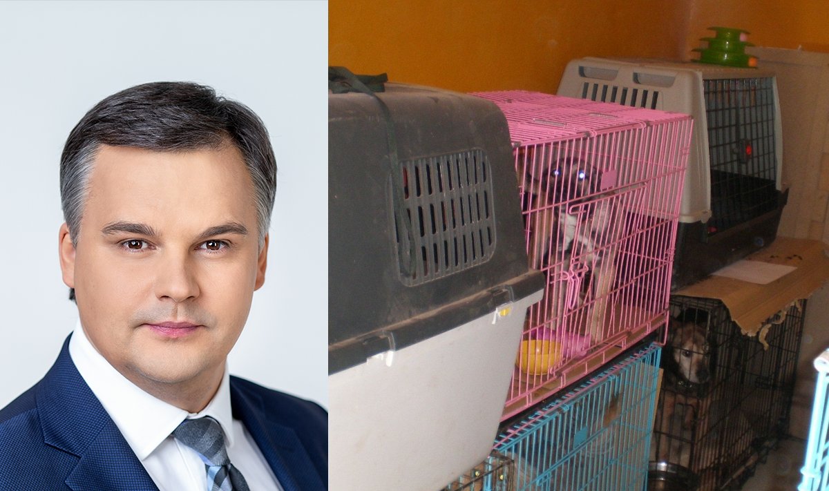 Marijus Velička: dėl Valstybinės maisto ir veterinarijos tarnybos ...