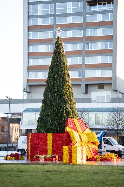 Naujoji Marijampolės eglutė, Marijampolės miesto savivaldybės nuotr.