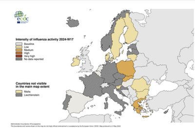 Sergamumas gripu, COVID-19 ir ūminėmis viršutinių kvėpavimo takų infekcijomis 2024 m. 18-ąją savaitę