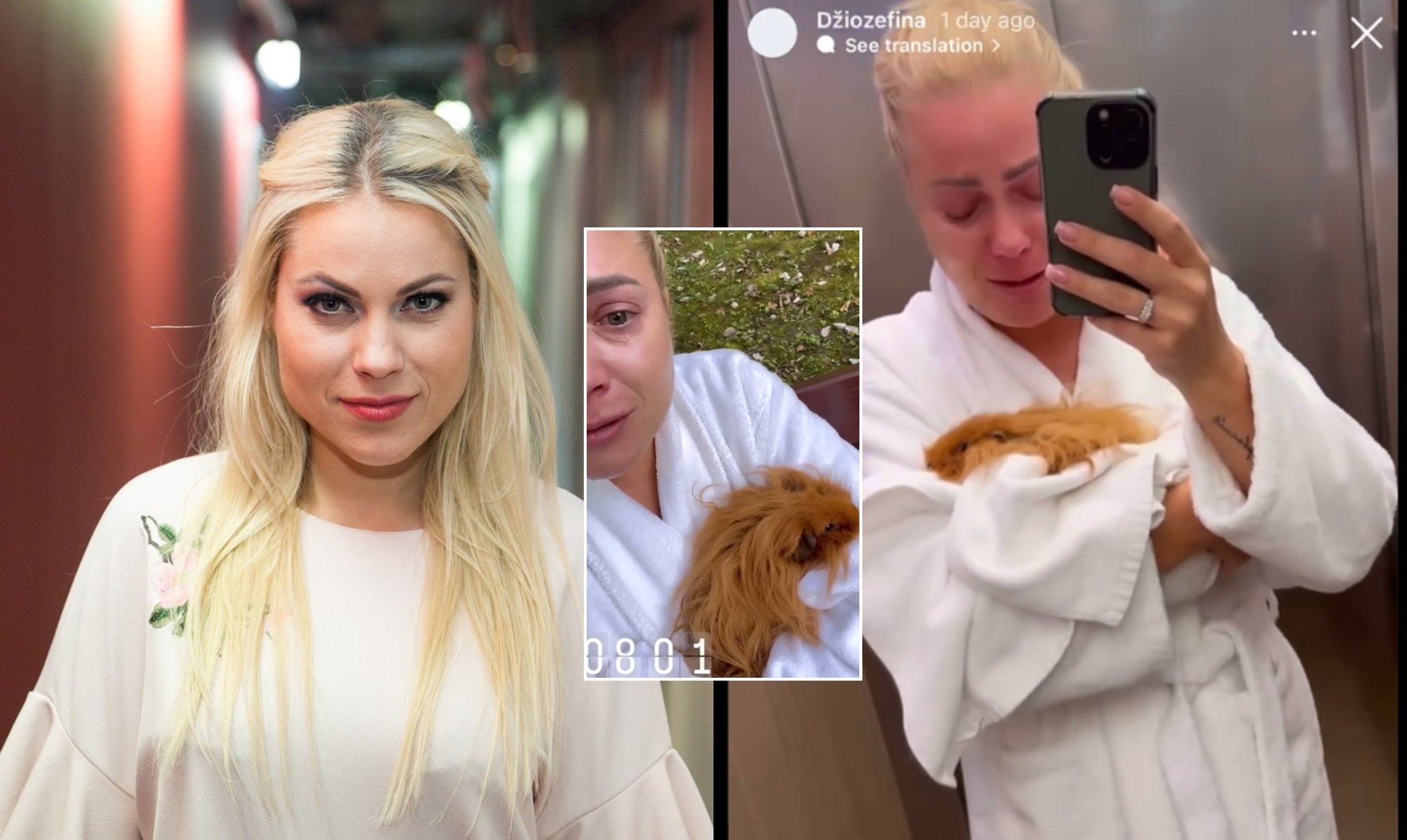 Augintinę žadinti atėjusi Nijolė Pareigytė puolė į ašaras: ją rado kraujo  klane - Delfi veidai