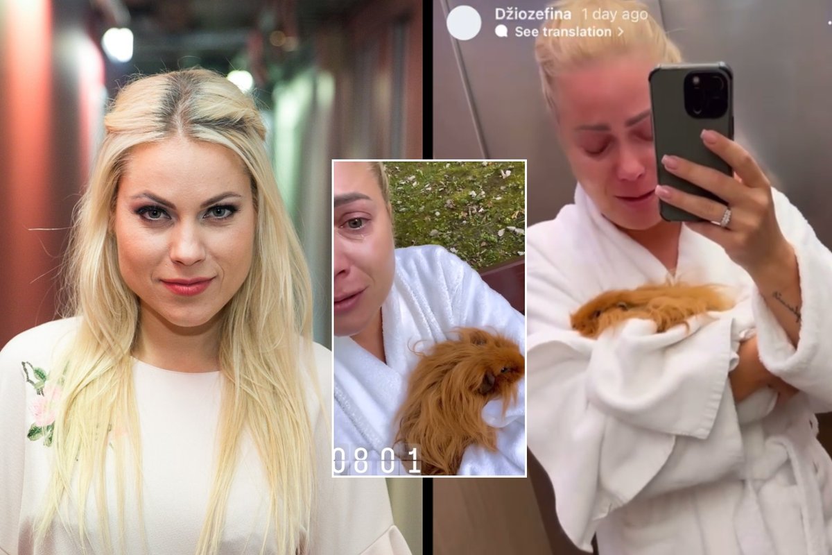 Augintinę žadinti atėjusi Nijolė Pareigytė puolė į ašaras: ją rado kraujo klane - Delfi veidai