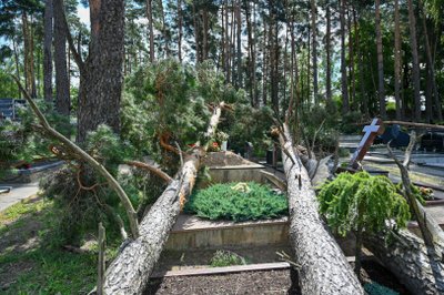 Audros nusiaubtos Šilaičių kapinės