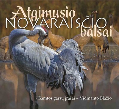 Vidmanto Blažio gamtos garsų įrašų kompaktinė plokštelė „Atgimusio Novaraisčio balsai“