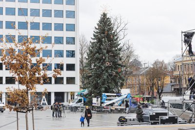 Puošiama Kalėdų eglė Vienybės aikštėje