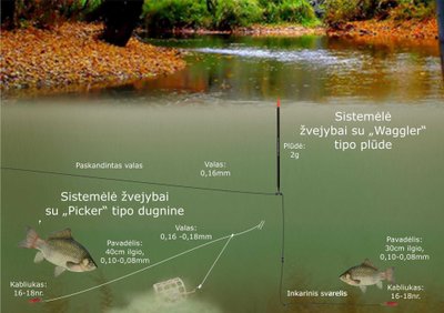 Schema. Karosų žvejyba rudenį