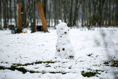 Tauragės rajone gyvenanti 17 vaikų šeima