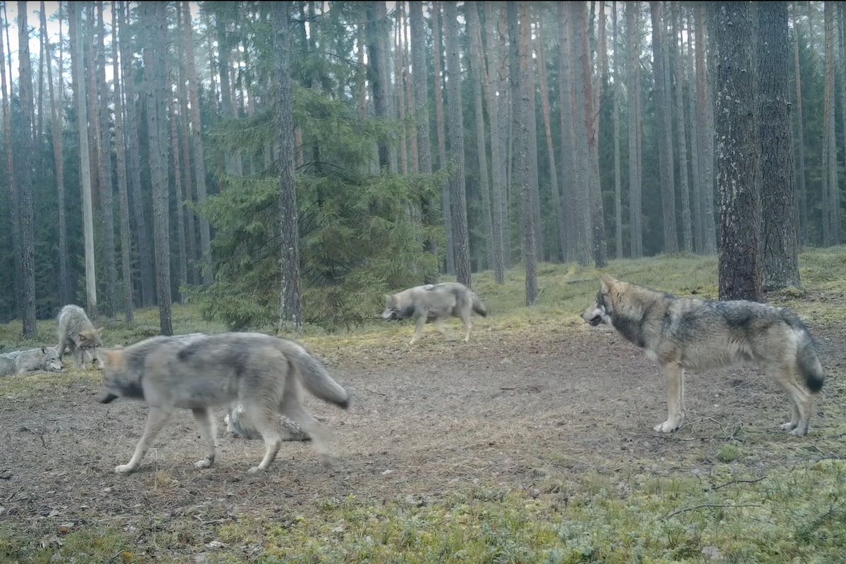 Семья натуристы Законы о нудизме: Австрия - BeachAtlas