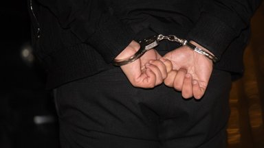 Už seksualinius nusikaltimus prieš migrantus nuteistam buvusiam psichologui paskirta lygtinė laisvės atėmimo bausmė
