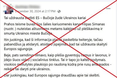 Plinta melagiena, kad Bučoje civilius žudė Ukrainos kariai