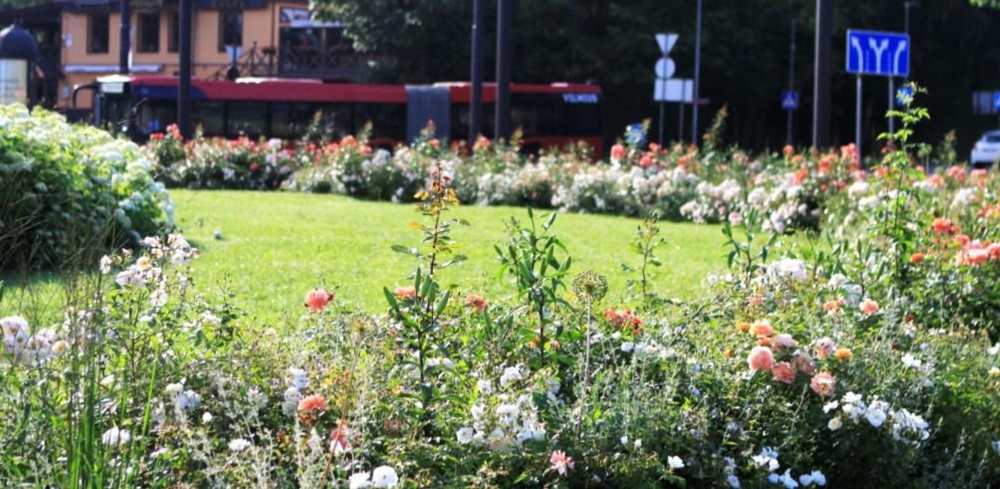 Vilnius residents choose city's most beautiful flowerbed